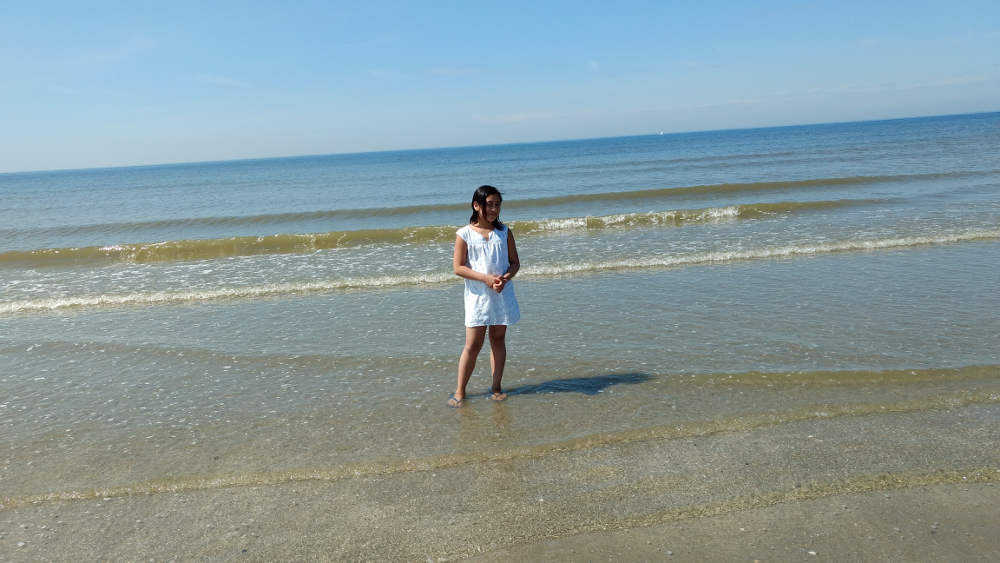 beach in the Netherlands