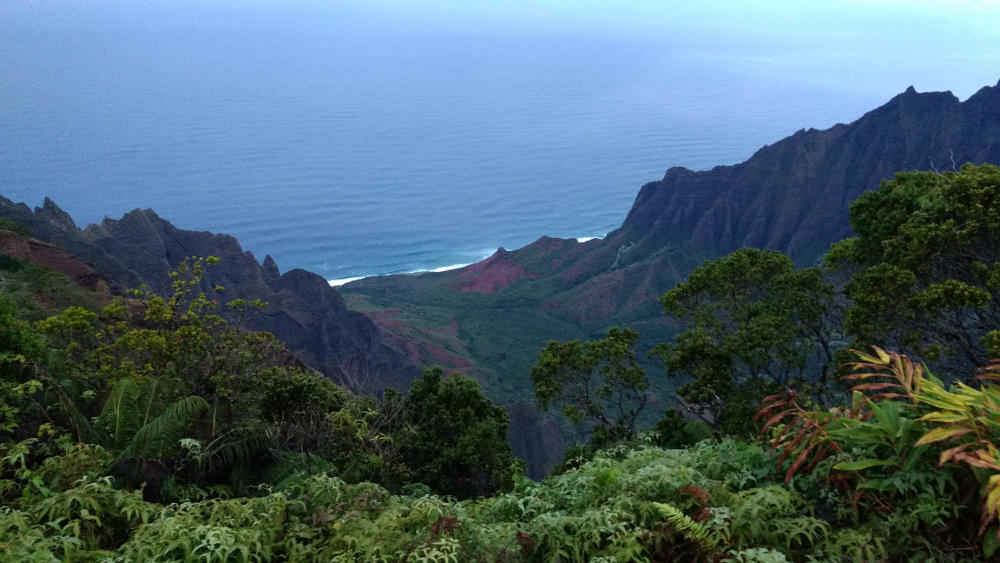 Nepali Coast